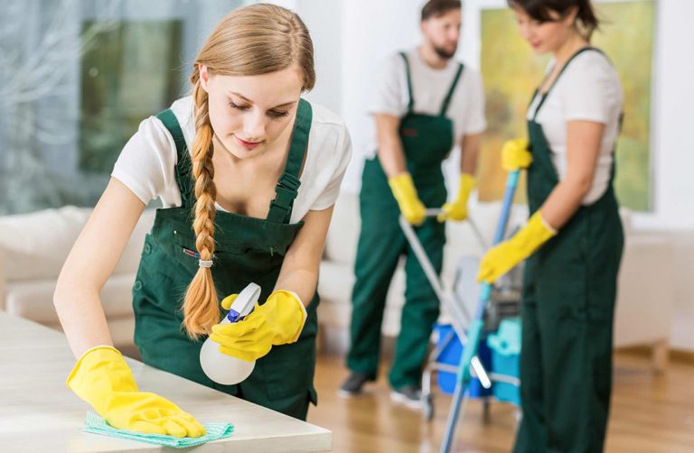 The Secret of Cleaning Your Home